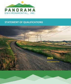 PanoramaSOQ-2025_Mining-1 (2)